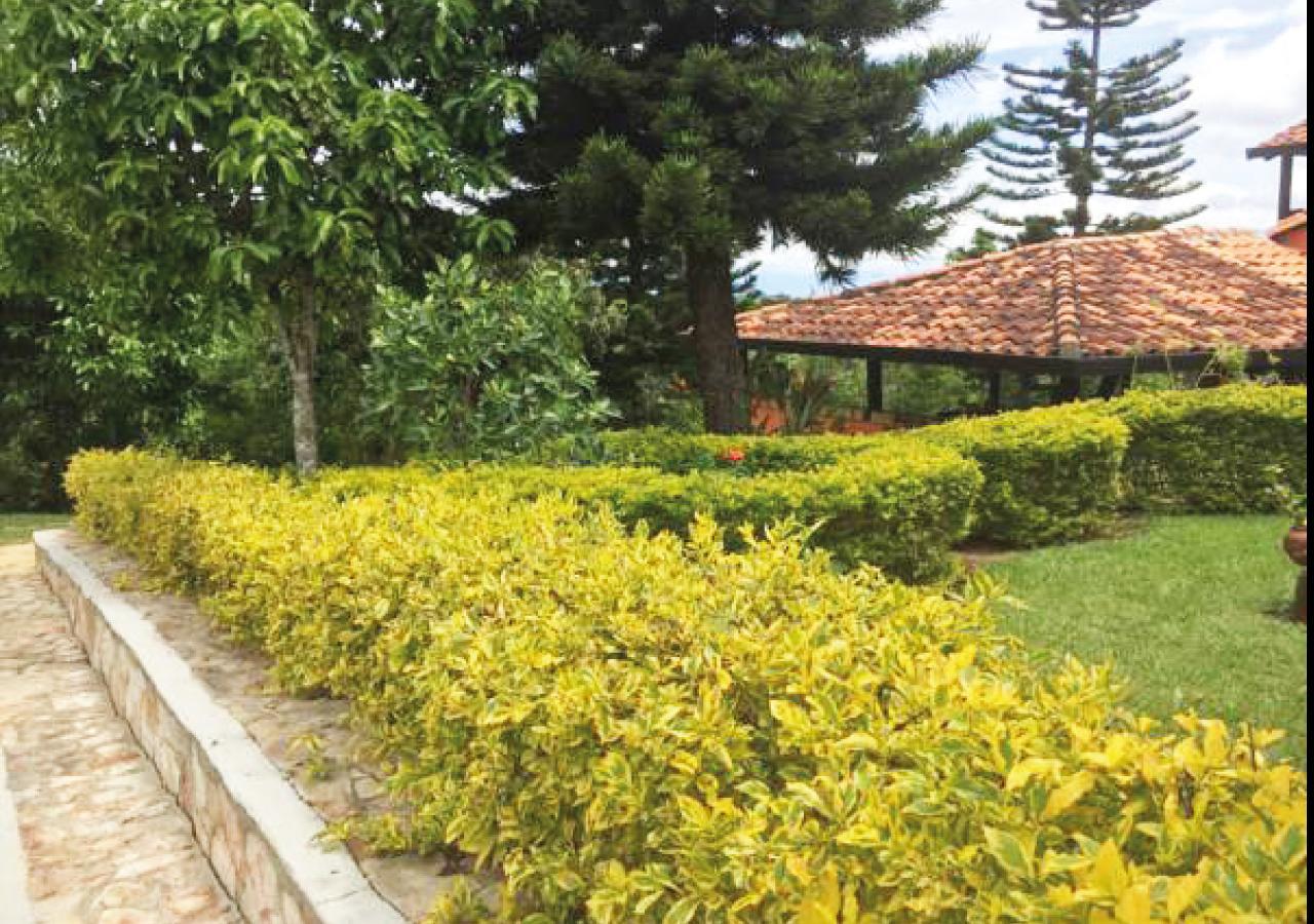Hotel Cristo Rey Campestre Los Santos  Eksteriør bilde
